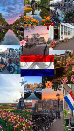 Netherlands 🇳🇱🌷