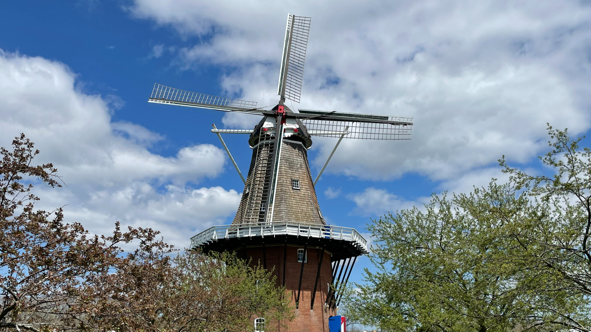 Inside Holland's historic jewel: De Zwaan Windmill | WOODTV.com